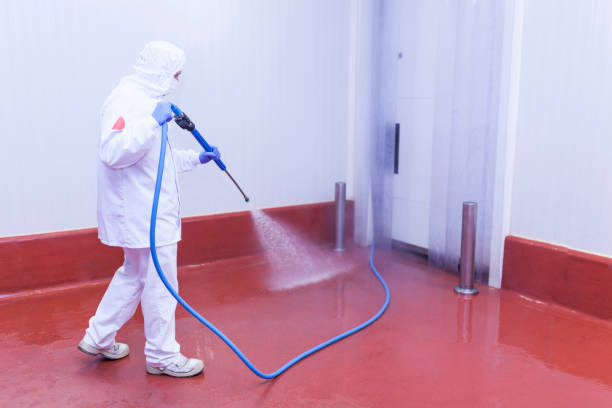 Best Rust Removal  in Palmer Ranch, FL